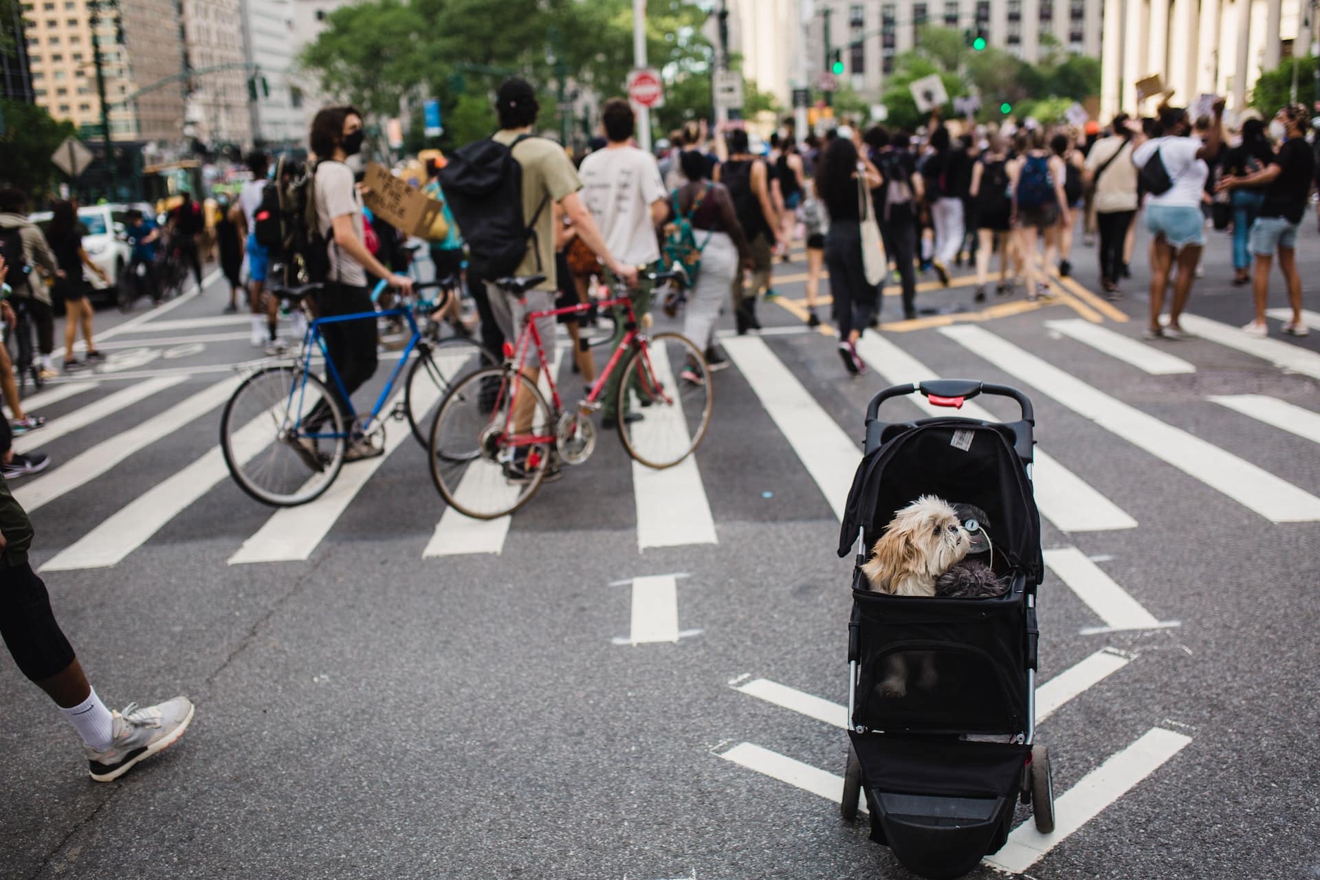 Pet Strollers The Best Way to Keep Your Pet Safe and Comfortable Dog Prams